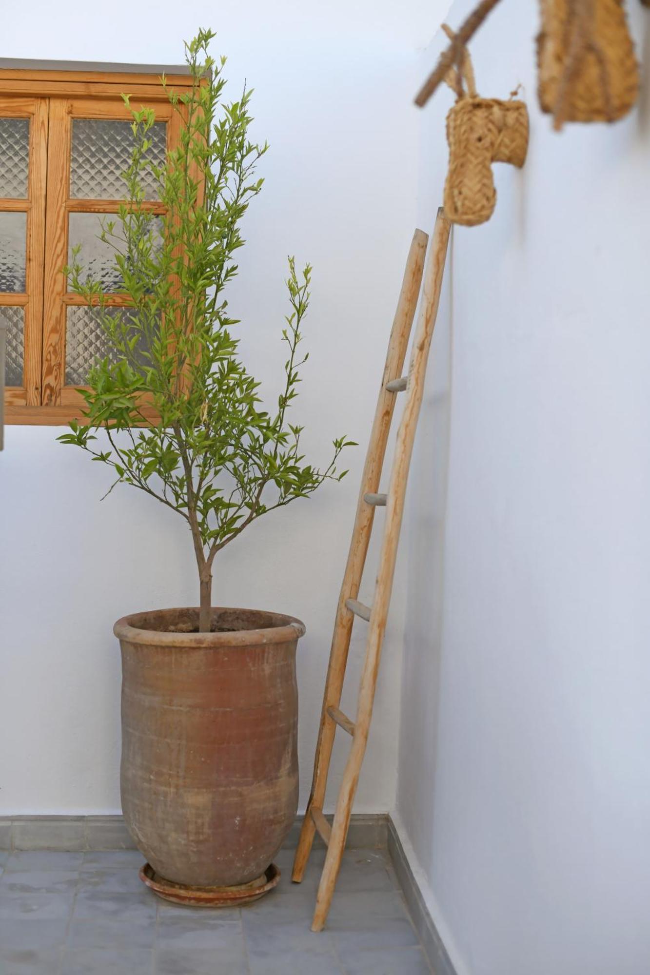 Riad Larbi Khalis 마라케시 외부 사진